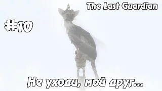 The Last Guardian #10 - Не уходи, мой друг...