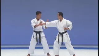 Matsumura Rohai Karate Do Shito Ryu kata & bunkai