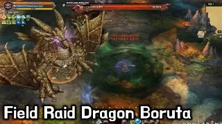 [TOS Re] Field Raid Dragon Boruta