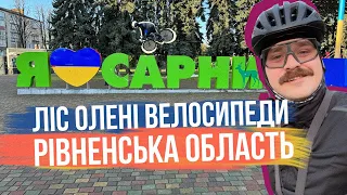 ПОГНАЛИ В САРНИ 🚴‍♂️ Ліс, олені і пару годин приємної катки в Рівненській області 🇺🇦 Подорож, ч2