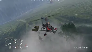 DayZ Bear in the Air