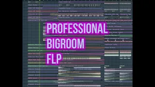 Professional BigRoom Flp #3