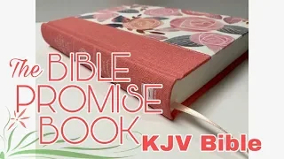 The Bible Promise Book KJV Bible Review