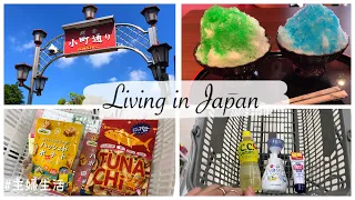 Have Lunch at Kamakura, Shopping at Daiso 100Yen shop and Drugstore | Living in Japan