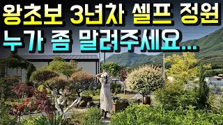 벌써 투자금만...올인한 3년차 정원, 여기까지 올 줄 몰랐다