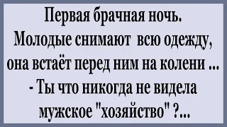 Ночью молодая встаёт перед ним на колени и  начинает...   Сборник весёлых анекдотов.