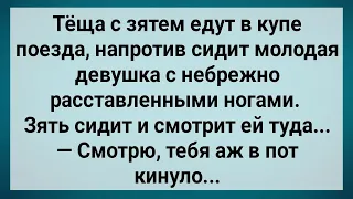 Зять при Теще Смотрит в Трусы Чужой Бабе! Сборник Свежих Анекдотов! Юмор!