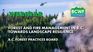 Forest and Fire Management in BC: Toward Landscape Resilience