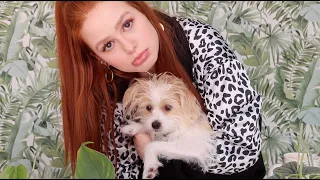 Everything you wanted (and didn’t want) to know | Madelaine Petsch