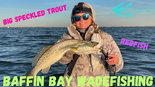 Baffin Bay: Massive Trout and Redfish Haul on Soft Dines