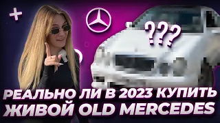 Реально ли в 2023 году купить живой old Mercedes?