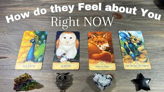 😲💕Their Feelings RIGHT NOW!!! * Pick A Card LOVE Tarot Reading * Timeless!
