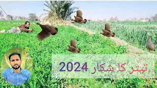 OMG 😱 NEW WAY OF TRAPING PARTRIDGE||Teetar ka shikar with netting||2024 ka Shandar shikar||Hunting 😱