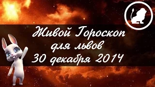 Гороскоп Лев ♌ на 30 декабря от Зайки Zoobe