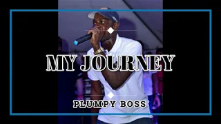 PLUMPY BOSS - MY JOURNEY