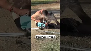 Bait Purse Prank #JoeySalads #Pranks #Shorts