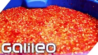 So entsteht die Sweet-Chili-Sauce | Galileo Lunch Break
