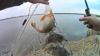 Браконьеры не дали половить рыбу! Рыбалка в Волго-Ахтубинской пойме
