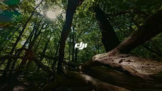 DJI Avata 2 cinematic flight in a forest of Berlin, Germany