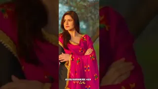 Koi Aaye Na Rabba | DAAKA | Gippy Grewal, Zareen Khan | Rochak Feat.