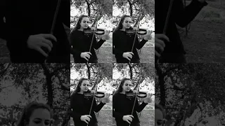 Drunk groove - cоver violin)