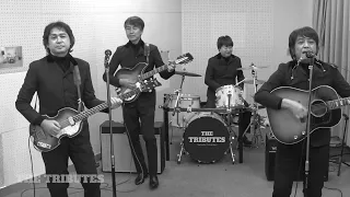 I Should Have Known Better / The Tributes Beatles cover