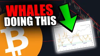 YOU WILL NOT BELIEVE WHAT THESE BITCOIN WHALES ARE DOING