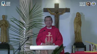 10:15 AM Holy Mass with Fr Jerry Orbos SVD - March 28 2021 Palm Sunday of the Lord's  Pa