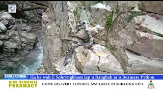 Ha ka wah E Sohryngkham lap u Rangbah ïa u Burmese Python