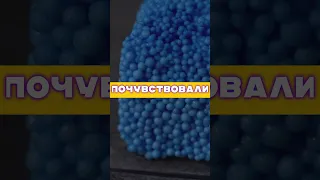 Факты Которые Спасут Твою Жизнь🥺