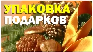 Галилео. Упаковка подарков