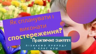 Як спланувати і виконати спостереження? Практичне заняття.