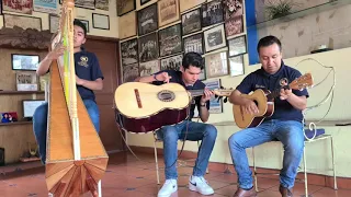 Corazón de niño. arpa,vihuela y guitarrón