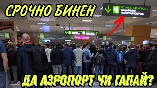 СРОЧНО БИНЕН! Точикора штраф доран да аэропорт Домодедово