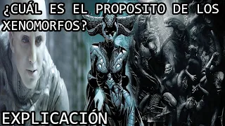 ¿Cuál es el Propósito de los Xenomorfos? | El Siniestro Propósito de los Aliens y el Virus Xenomorfo