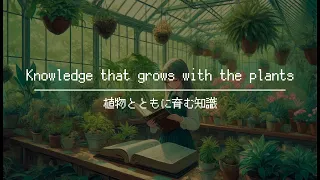 📖 【BGM for work】 - One Hour of Fantastical Journey Music / Knowledge that grows with the plants