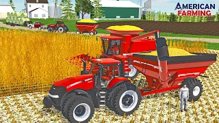 AMERICAN FARMING NEWS & STARTING CORN HARVEST! (SNEAK PEAK ON DLC)