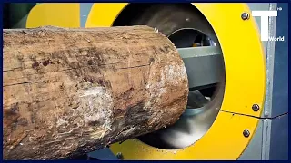 insane Wood Processing Machines | Biggest Wood Cutting Factory | Sawmills, woodworking tools