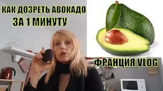 КАК дозреть АВОКАДО за 1 минуту (14:00) Французы ЖАДЮГИ! ФРАНЦИЯ VLOG | Elena France