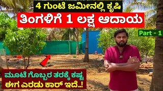 MBA ಯುವ ರೈತನ ಐಡಿಯಾ ನೋಡಿದರೆ ತಲೆ ತಿರುಗತ್ತೆ | Young farmer farming ideas in Kannda | Karnataka