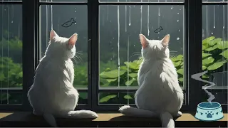 Catwo Lofi's Raining Serenity 3 😸| Cats & Calm Beats for Study and Relaxation