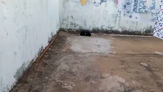 JBL Boombox 1 Tocando (Tribo da periferia, insônia 2) Grave Monstro💥