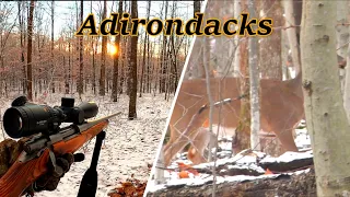 SHOTS FIRED! Two BIG BUCKS | Adirondack Deer Hunting Public Land