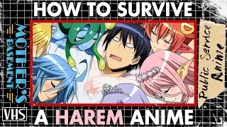 How to Survive a Harem Anime - Public Service Anime