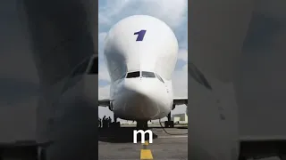 airbus beluga is hungry 🎧 LOUD WARNING #shorts #airplane #trending #airbusbeluga