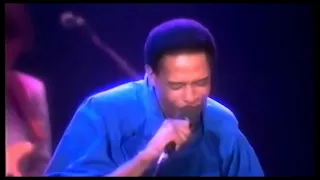 Al Jarreau – Trouble In Paradise ☆ Live In London • 1984 [HQ AUDIO]