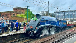 Chaos at Carlisle Station, Sir Nigel Gresley 60007, Veramis Rail & a waiting GBRF sleeper 22/05/24