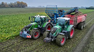 Rübenernte mit Edenhall 754 / Fendt / VGM / J & C Laurijsse / 2021