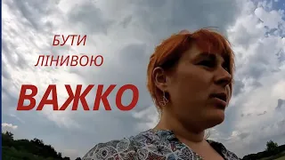 🤭Важко сьогодні збирати малину. Малина Полана перший рік, як родить?! Збираю урожай на городі в селі