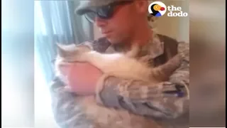 Soldier Comes Home to Cat Who Can't Wait to be Reunited With Dad | The Dodo